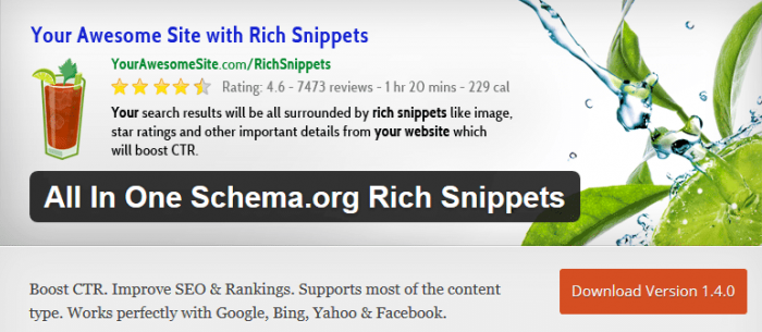 All-In-One-Schema.org-Rich-Snippets-WordPress-Plugins